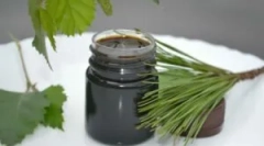 Breza od miši in podganov